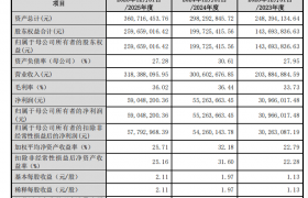 市占率稳超10%，2024年爆发后增长势能延续，新睿电子2026年营收预增22%