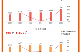 全球五台风机一台 “锡华芯”，锡华科技 2025 年营收增 32.28%、净利增 41.85%