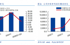 新广益创业板挂牌启新程：国产替代领航，多元发展谱华章