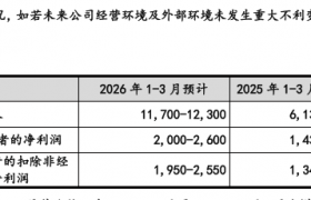 国际形势催生新能源替代 稀土永磁设备细分龙头广泰真空加速冲刺A股