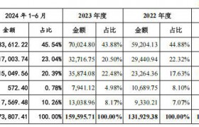 双瑞股份IPO 以新质生产力为核心 打好产业基础高级化攻坚战
